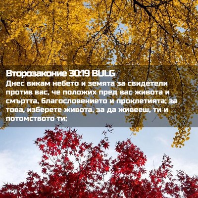 Picture 02 - Второзаконие 30:19 BULG - Днес викам небето и земята - Bible Verse Picture