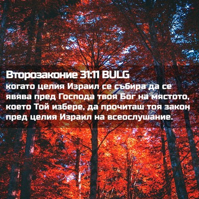 Picture 02 - Второзаконие 31:11 BULG - когато целия Израил се - Bible Verse Picture
