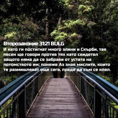 Picture 02 - Второзаконие 31:21 BULG - И като ги постигнат много - Bible Verse Picture
