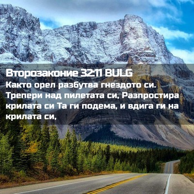 Picture 02 - Второзаконие 32:11 BULG - Както орел разбутва - Bible Verse Picture