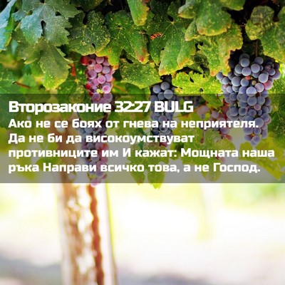 Picture 02 - Второзаконие 32:27 BULG - Ако не се боях от гнева на - Bible Verse Picture