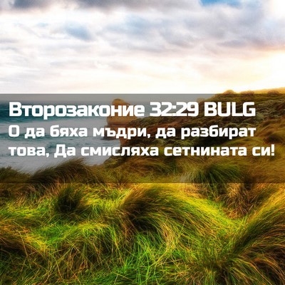 Picture 02 - Второзаконие 32:29 BULG - О да бяха мъдри, да - Bible Verse Picture