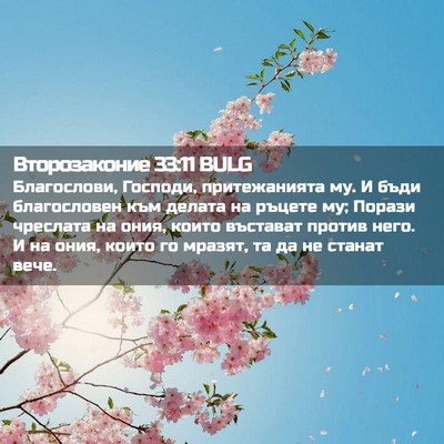 Picture 02 - Второзаконие 33:11 BULG - Благослови, Господи, - Bible Verse Picture