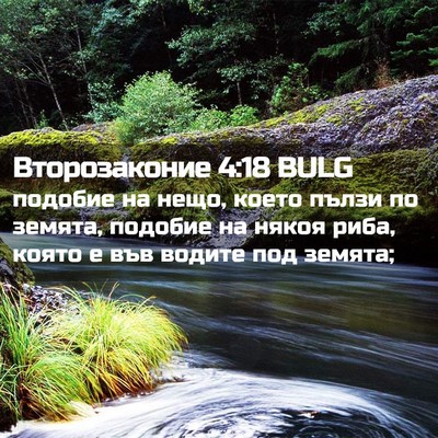 Picture 02 - Второзаконие 4:18 BULG - подобие на нещо, което - Bible Verse Picture