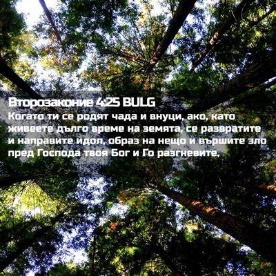 Picture 02 - Второзаконие 4:25 BULG - Когато ти се родят чада и - Bible Verse Picture