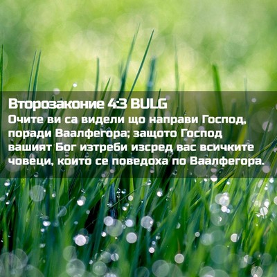 Picture 02 - Второзаконие 4:3 BULG - Очите ви са видели що - Bible Verse Picture