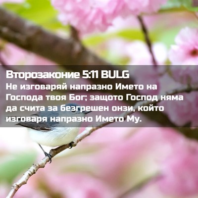 Picture 02 - Второзаконие 5:11 BULG - Не изговаряй напразно - Bible Verse Picture