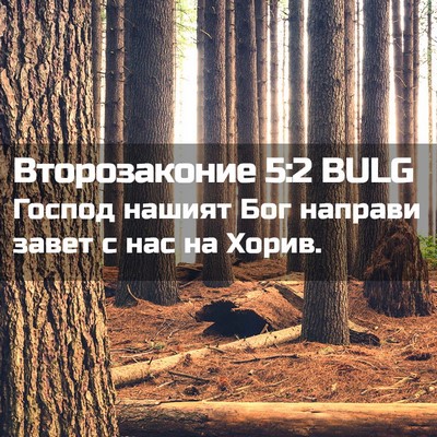 Picture 02 - Второзаконие 5:2 BULG - Господ нашият Бог направи - Bible Verse Picture