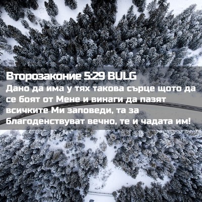 Picture 02 - Второзаконие 5:29 BULG - Дано да има у тях такова - Bible Verse Picture