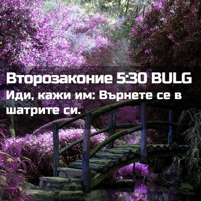 Picture 02 - Второзаконие 5:30 BULG - Иди, кажи им: Върнете се в - Bible Verse Picture