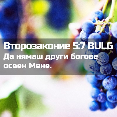 Picture 02 - Второзаконие 5:7 BULG - Да нямаш други богове - Bible Verse Picture