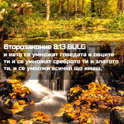 Picture 02 - Второзаконие 8:13 BULG - и като се умножат говедата - Bible Verse Picture