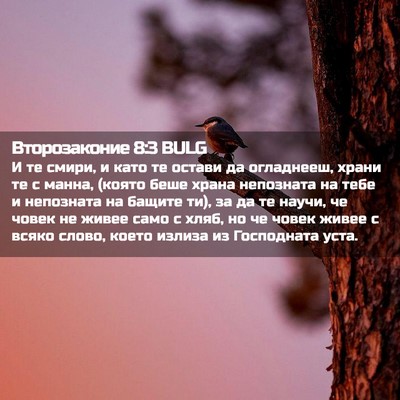 Picture 02 - Второзаконие 8:3 BULG - И те смири, и като те остави - Bible Verse Picture