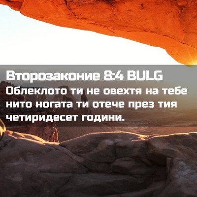 Picture 02 - Второзаконие 8:4 BULG - Облеклото ти не овехтя на - Bible Verse Picture