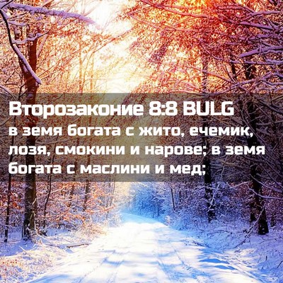 Picture 02 - Второзаконие 8:8 BULG - в земя богата с жито, - Bible Verse Picture