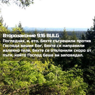 Picture 02 - Второзаконие 9:16 BULG - Погледнах, и, ето, бяхте - Bible Verse Picture