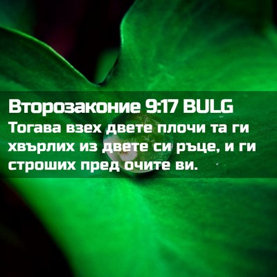Picture 02 - Второзаконие 9:17 BULG - Тогава взех двете плочи та - Bible Verse Picture