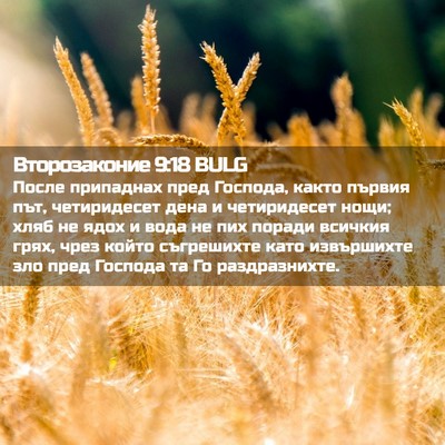 Picture 02 - Второзаконие 9:18 BULG - После припаднах пред - Bible Verse Picture