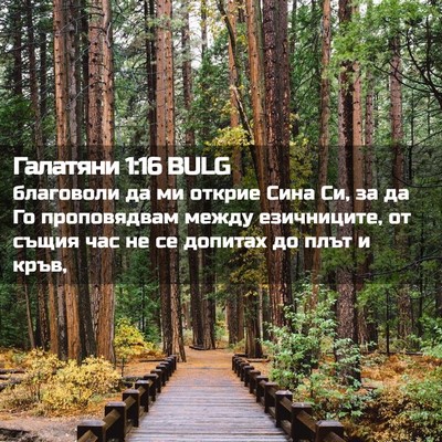 Picture 02 - Галатяни 1:16 BULG - благоволи да ми открие - Bible Verse Picture