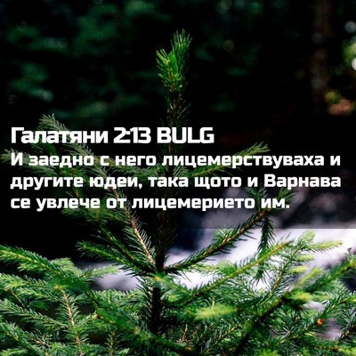 Picture 02 - Галатяни 2:13 BULG - И заедно с него - Bible Verse Picture