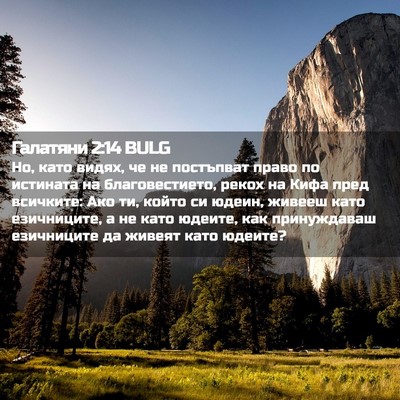 Picture 02 - Галатяни 2:14 BULG - Но, като видях, че не - Bible Verse Picture