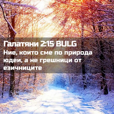 Picture 02 - Галатяни 2:15 BULG - Ние, които сме по природа - Bible Verse Picture