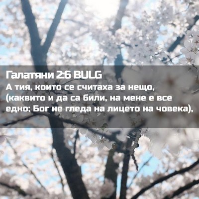 Picture 02 - Галатяни 2:6 BULG - А тия, които се считаха за - Bible Verse Picture