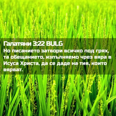 Picture 02 - Галатяни 3:22 BULG - Но писанието затвори - Bible Verse Picture