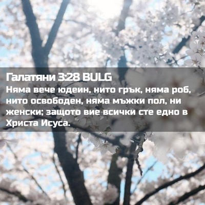 Picture 02 - Галатяни 3:28 BULG - Няма вече юдеин, нито грък, - Bible Verse Picture