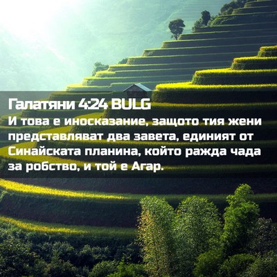 Picture 02 - Галатяни 4:24 BULG - И това е иносказание, - Bible Verse Picture