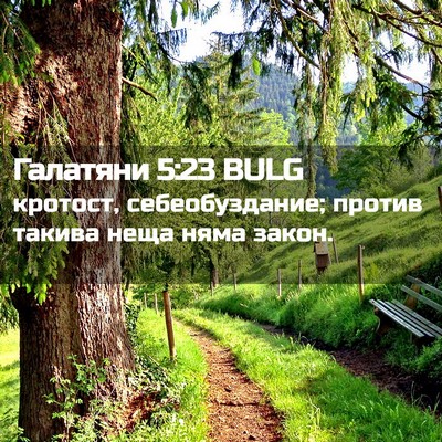 Picture 02 - Галатяни 5:23 BULG - кротост, себеобуздание; - Bible Verse Picture
