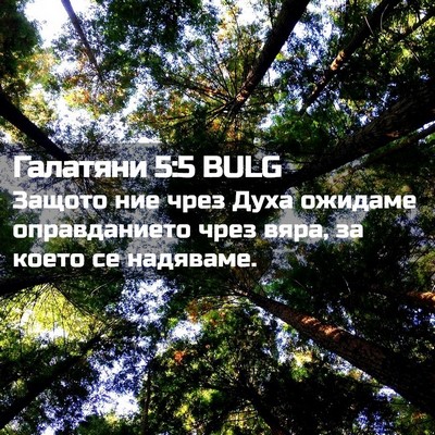 Picture 02 - Галатяни 5:5 BULG - Защото ние чрез Духа - Bible Verse Picture