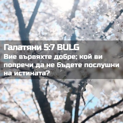 Picture 02 - Галатяни 5:7 BULG - Вие вървяхте добре; кой ви - Bible Verse Picture