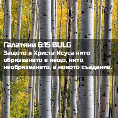 Picture 02 - Галатяни 6:15 BULG - Защото в Христа Исуса нито - Bible Verse Picture