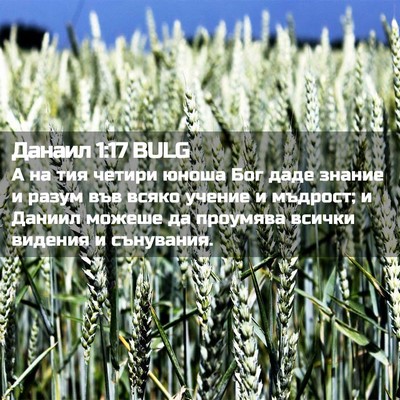 Picture 02 - Данаил 1:17 BULG - А на тия четири юноша Бог - Bible Verse Picture