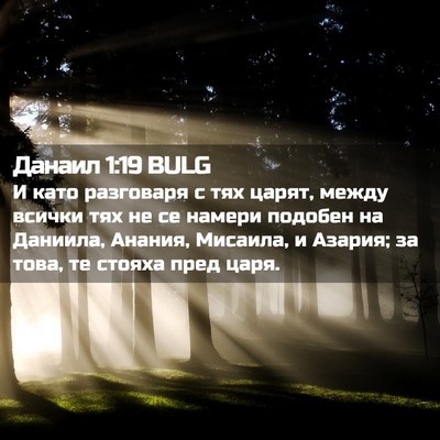 Picture 02 - Данаил 1:19 BULG - И като разговаря с тях - Bible Verse Picture