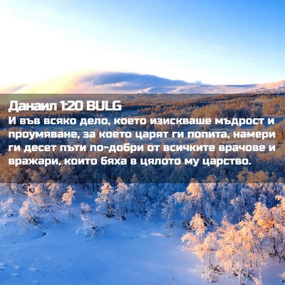 Picture 02 - Данаил 1:20 BULG - И във всяко дело, което - Bible Verse Picture