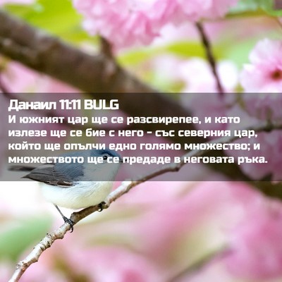 Picture 02 - Данаил 11:11 BULG - И южният цар ще се - Bible Verse Picture
