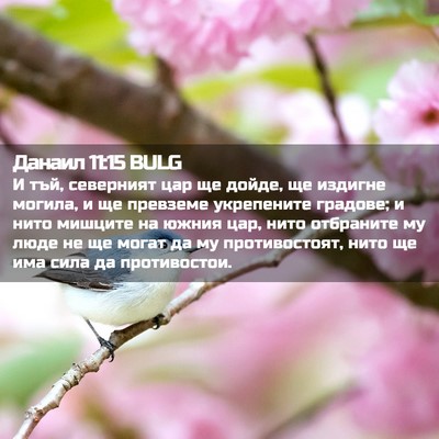 Picture 02 - Данаил 11:15 BULG - И тъй, северният цар ще - Bible Verse Picture