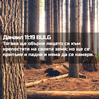 Picture 02 - Данаил 11:19 BULG - Тогава ще обърне лицето си - Bible Verse Picture