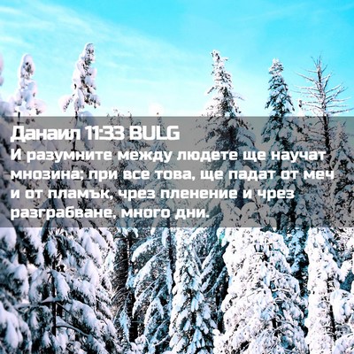 Picture 02 - Данаил 11:33 BULG - И разумните между людете - Bible Verse Picture