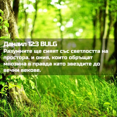 Picture 02 - Данаил 12:3 BULG - Разумните ще сияят със - Bible Verse Picture