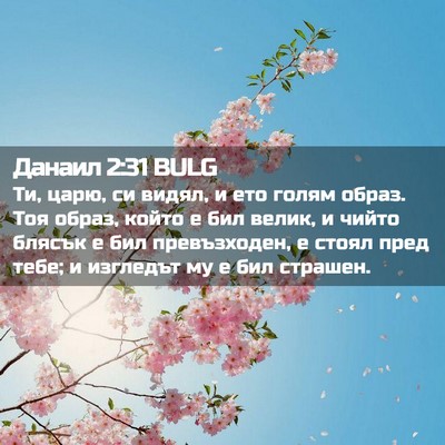 Picture 02 - Данаил 2:31 BULG - Ти, царю, си видял, и ето - Bible Verse Picture