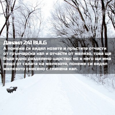 Picture 02 - Данаил 2:41 BULG - А понеже си видял нозете и - Bible Verse Picture