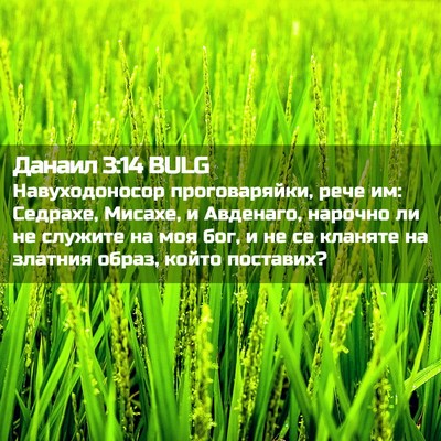 Picture 02 - Данаил 3:14 BULG - Навуходоносор - Bible Verse Picture