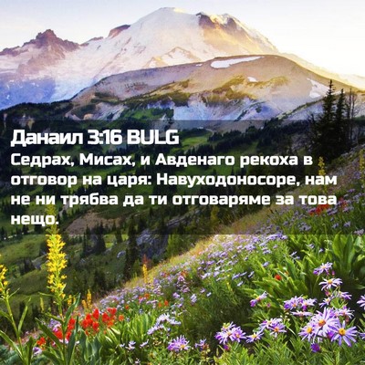 Picture 02 - Данаил 3:16 BULG - Седрах, Мисах, и Авденаго - Bible Verse Picture
