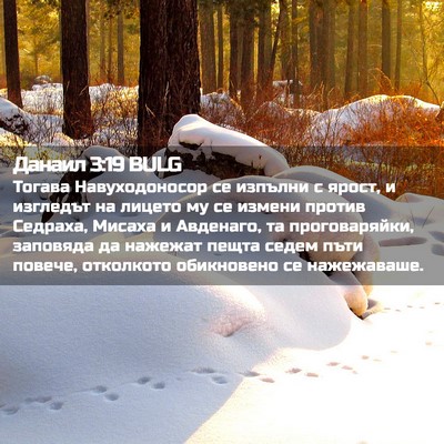 Picture 02 - Данаил 3:19 BULG - Тогава Навуходоносор се - Bible Verse Picture