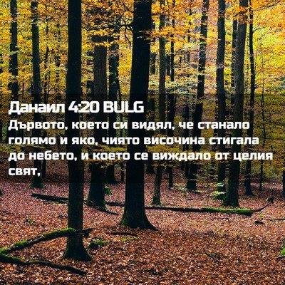 Picture 02 - Данаил 4:20 BULG - Дървото, което си видял, че - Bible Verse Picture