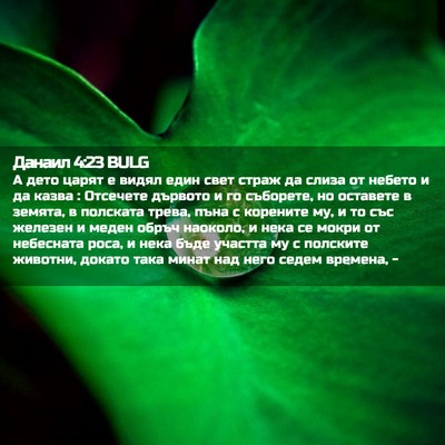 Picture 02 - Данаил 4:23 BULG - А дето царят е видял един - Bible Verse Picture