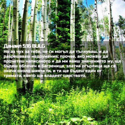 Picture 02 - Данаил 5:16 BULG - Но аз чух за тебе, че си - Bible Verse Picture